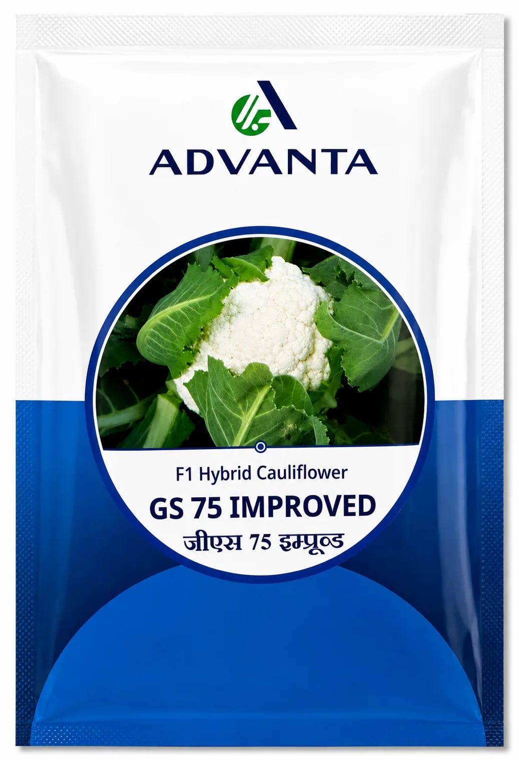 Advanta GS 75 Improved F1 Hybrid Cauliflower Seeds For High Quality Farming