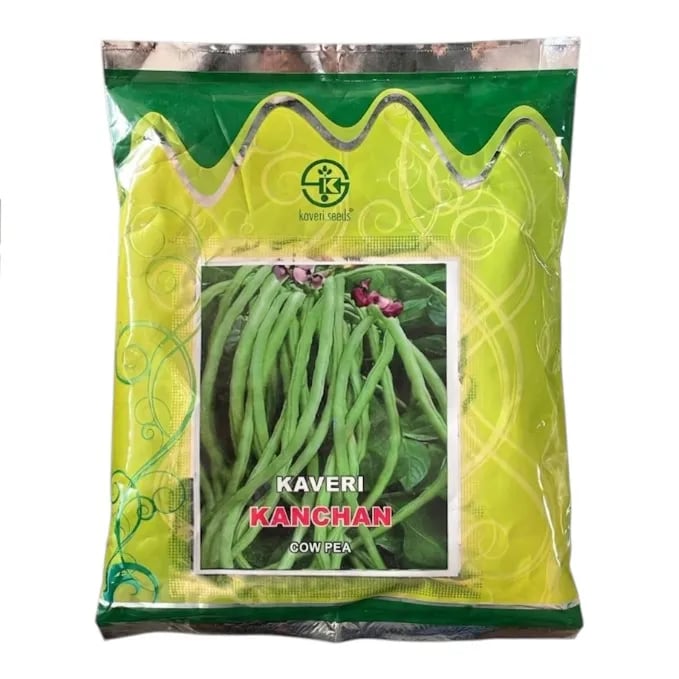 Kaveri Kanchan Cowpea Seeds