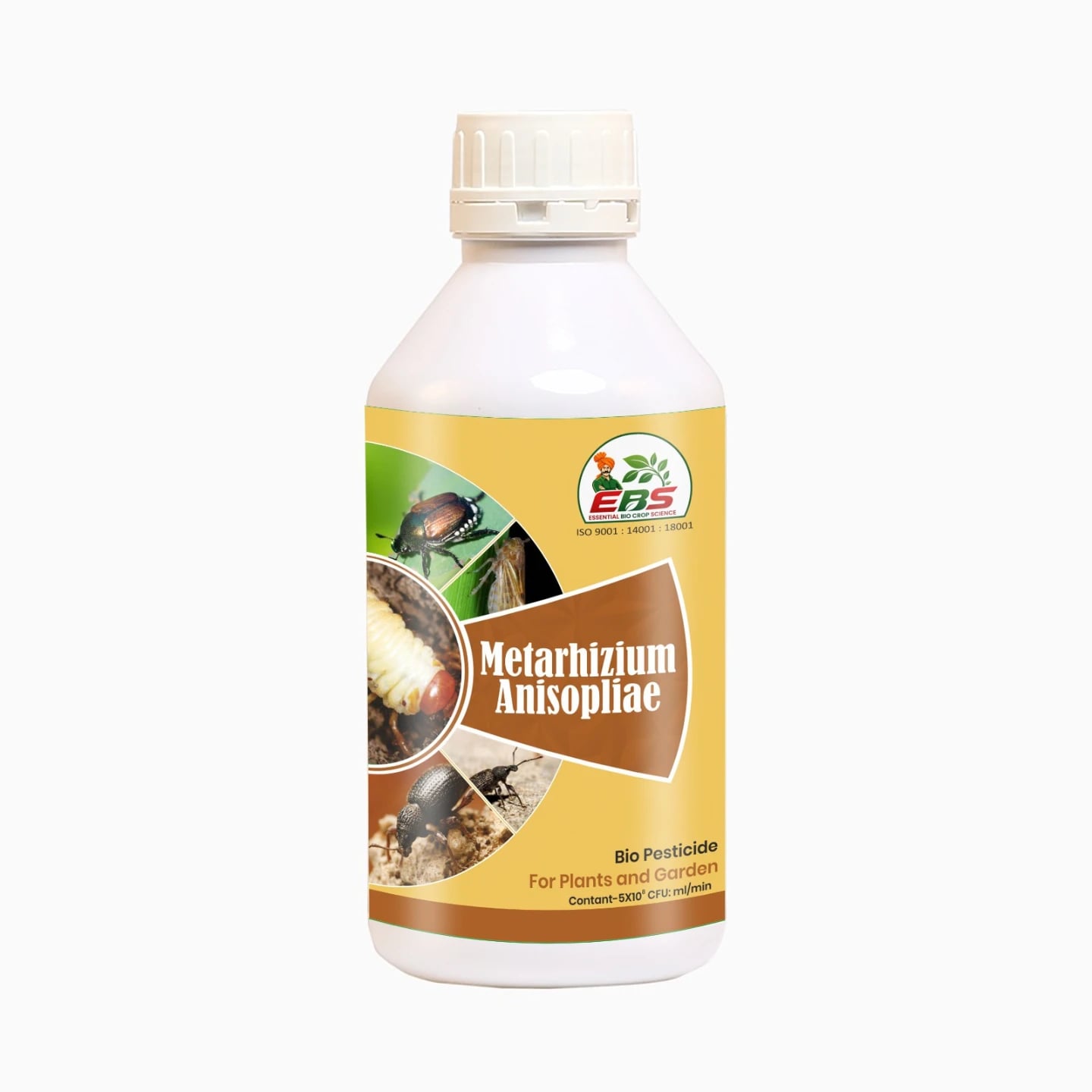 EBS Metarhizium Anisopliae Bio Pesticide, Control Root Weevils, Plant Hoppers, Japanese Beetle, Black Vine Weevil On All Type Of Crops
