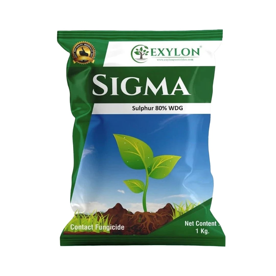 Exylon Sigma Fungicide - Sulphur 80% WDG