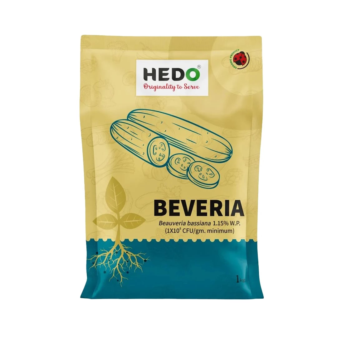 HEDO Beveria (Beauveria Bassiana 1.15% WP) Powder Bio Pesticide For Vegetables, Fruits & All Crops, Broad Spectrum Control