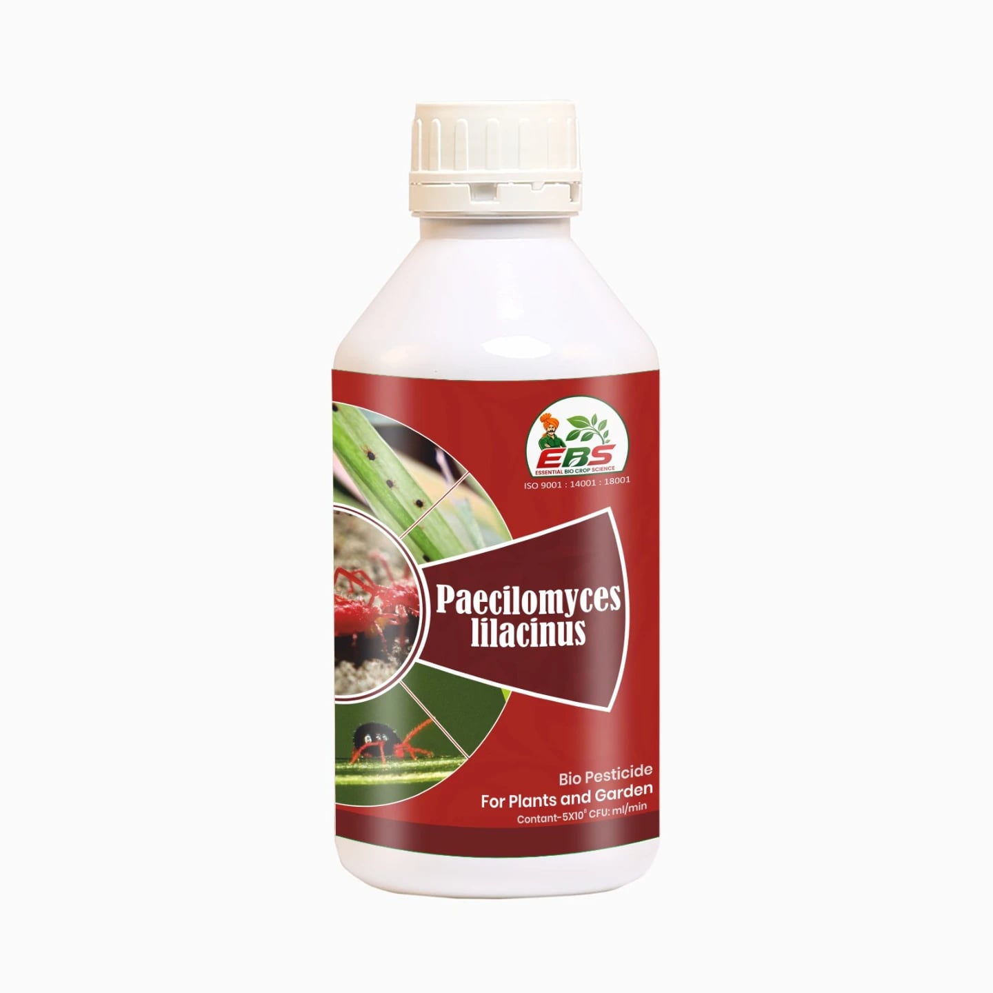 EBS Paecilomyces Lilacinus Bio Pesticide, Control Of Root - Knot Nematode, Ramiform Nematode, Cyst Nematode, Golden Cyst Nematode On All Crops