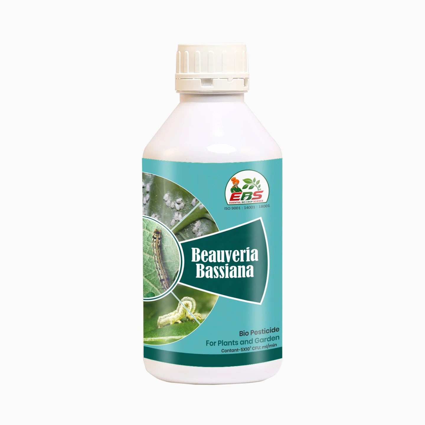 EBS Beauveria Bassiana Bio Pesticide, Effective Control Of Many Insect On All Crops And Plants