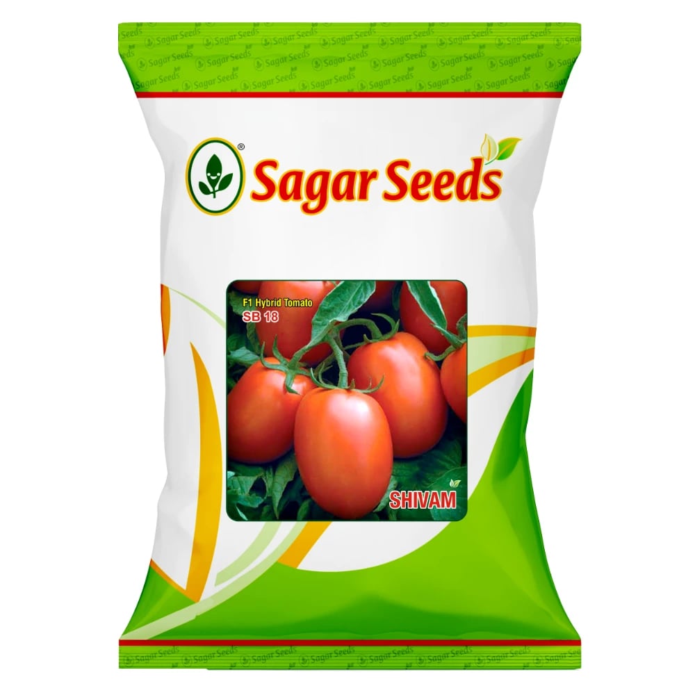 Sagar SHIVAM F1 Hybrid Tomato Seeds, High Yield And Red Glossy, Uniform Fruits