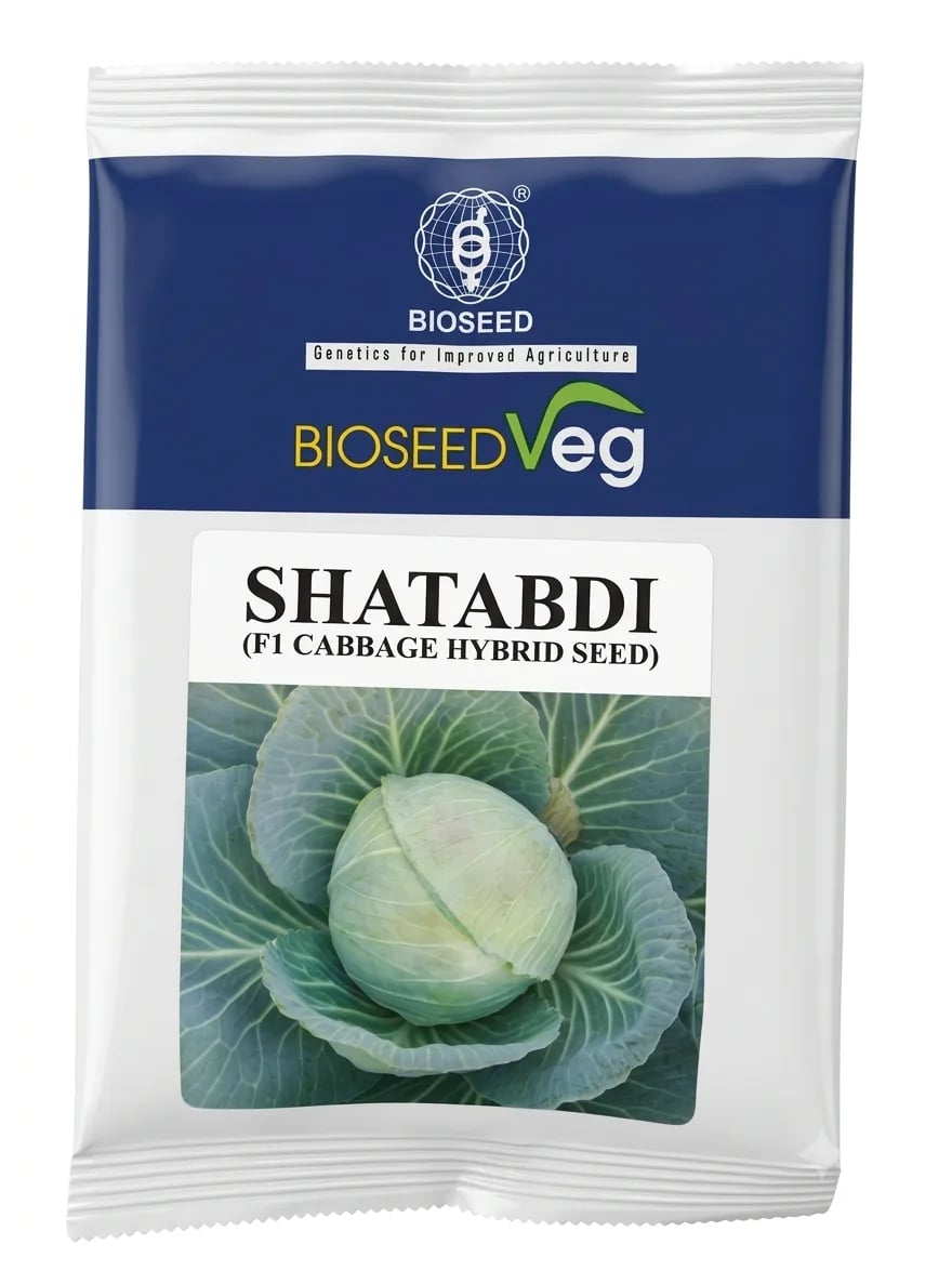 Bioseed Veg Shatabdi F1 Hybrid Cabbage Seeds