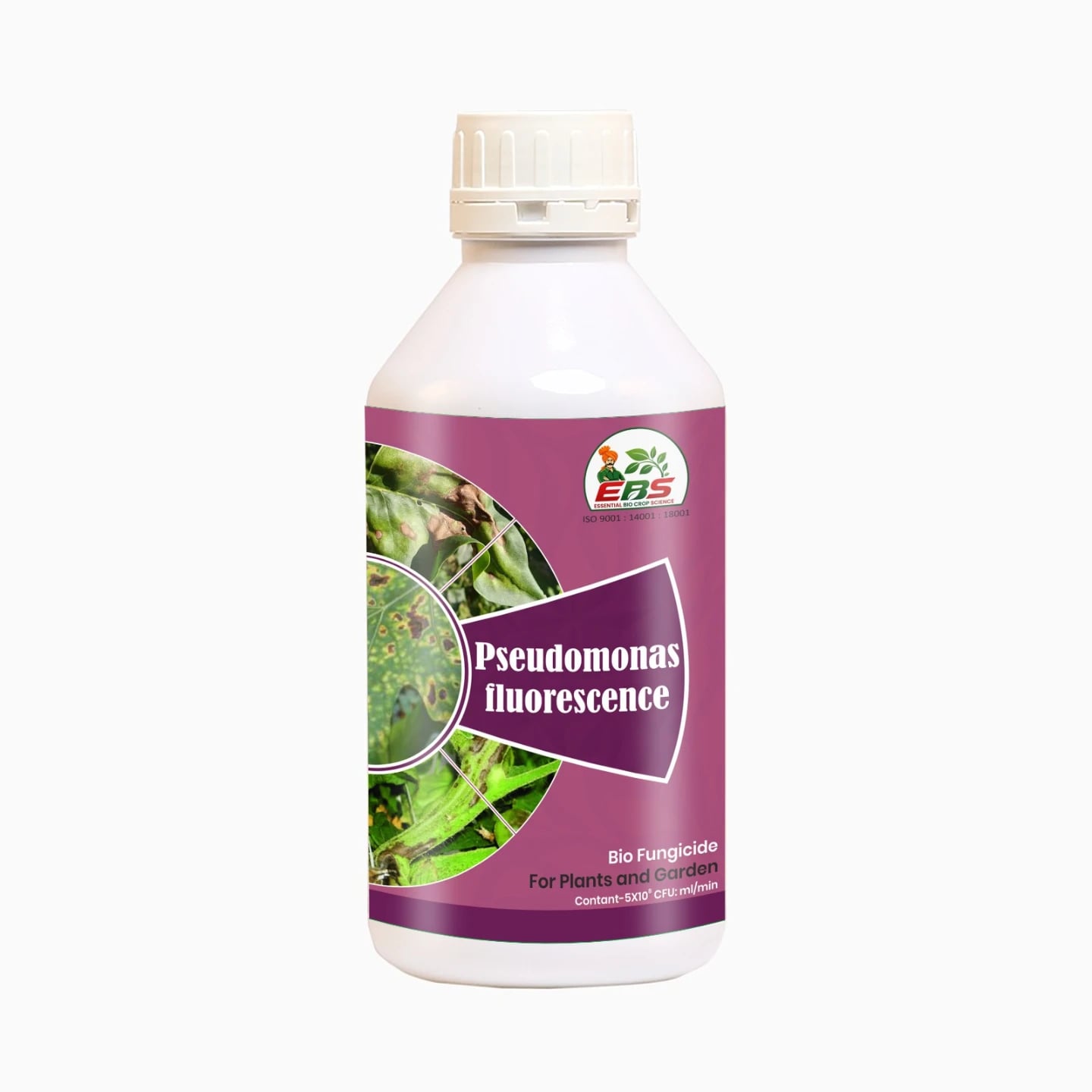 EBS Pseudomonas Fluorescence Bio Fungicide, Controlling Diseases Like Root Rot, Stem Rot, Collar Rot On All Crops