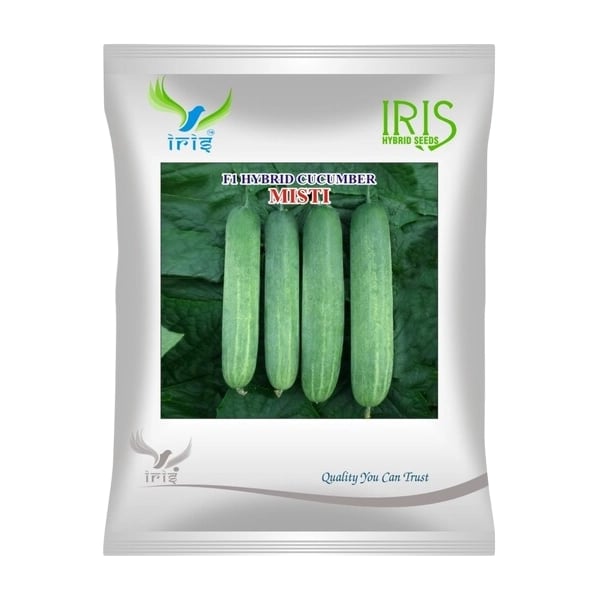 Iris Misti F1 Hybrid Cucumber Seeds, High Yield All Season Green Variety And Big Fruits