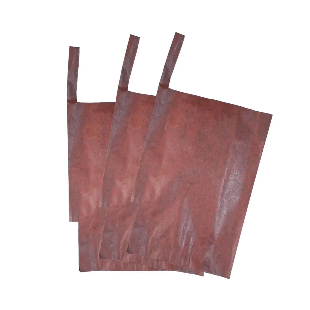 Radhe Mango Protection Bag