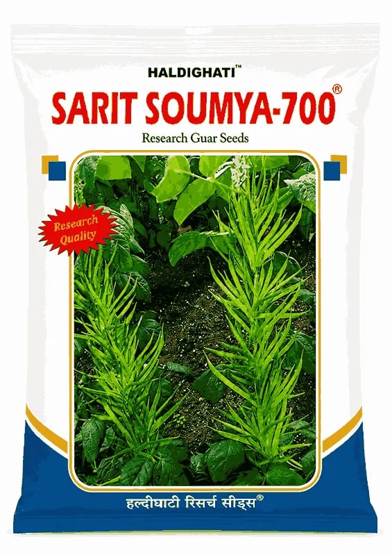 Haldighati Sarit Soumya 700 Research Guar Seeds