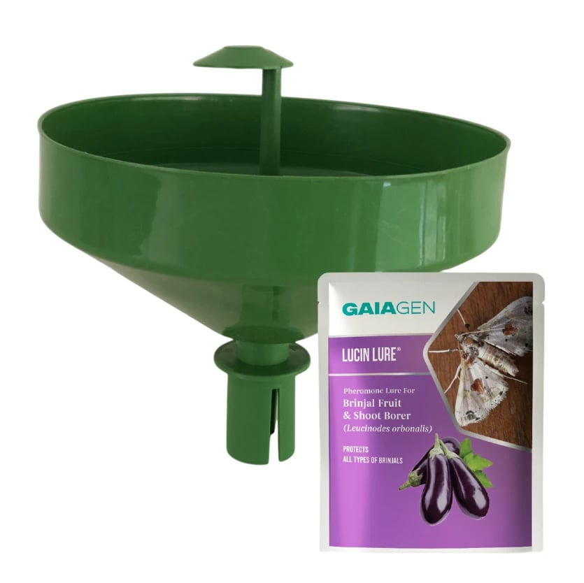 Gaiagen Brinjal Fruit And Shoot Borer Pheromone Lure For Leucinodes Orbonalis, IMO Certified.