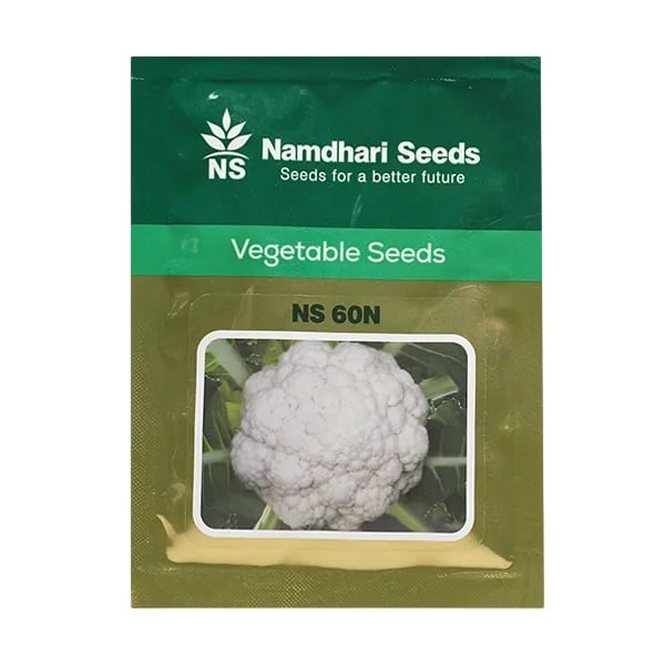 Namdhari NS 60N F1 Hybrid Cauliflower Seeds, Early Maturity, Semi Dome White Curds