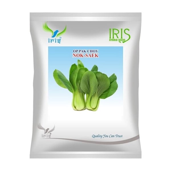 Iris Nok-Saek OP Pak Choy Seeds, Imported, Vigorous Vegetable Plants, Early And High Yield