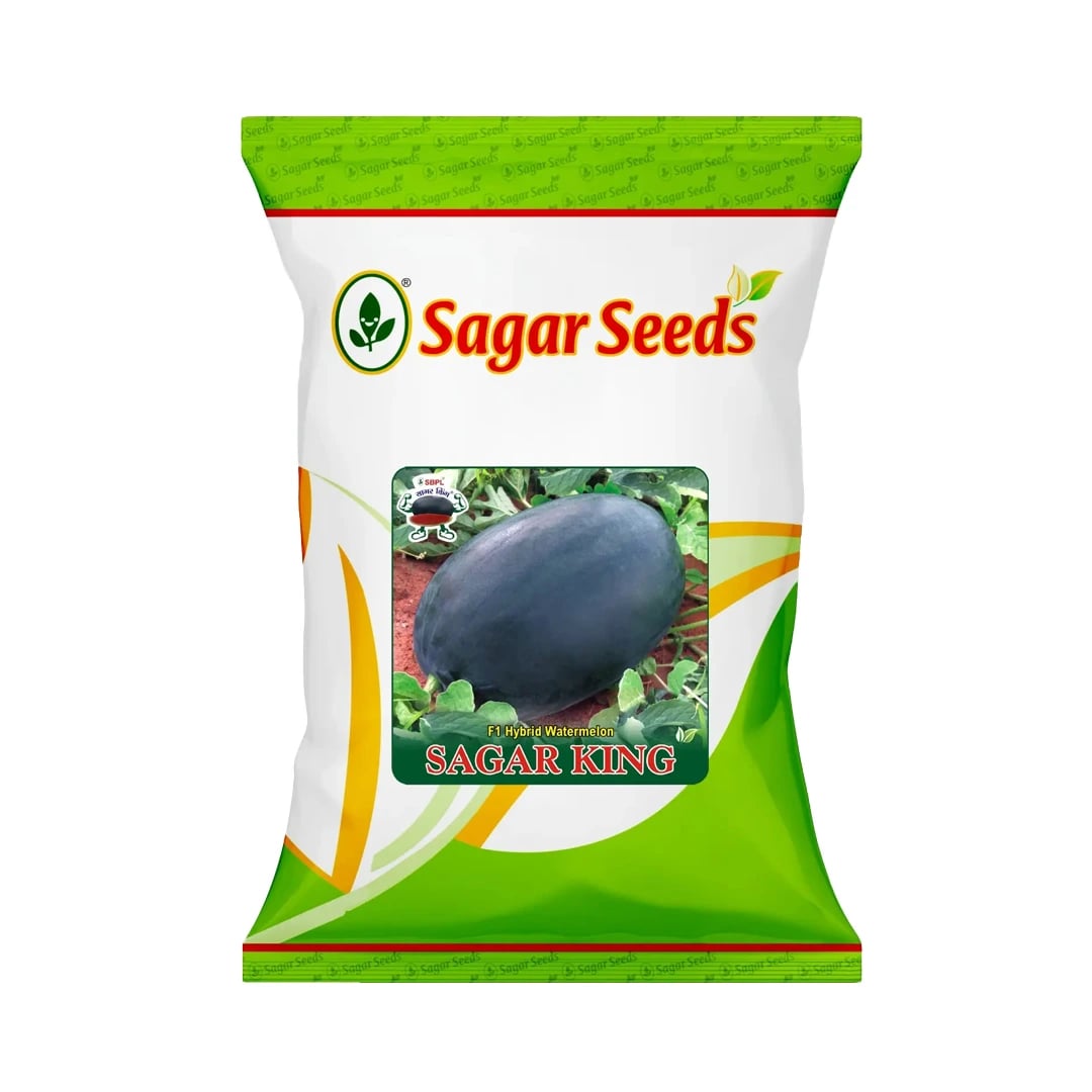 Sagar King Watermelon Seeds - (Tarbuj Seeds) Oval Shape, Ice Box Segment, For All Seasons