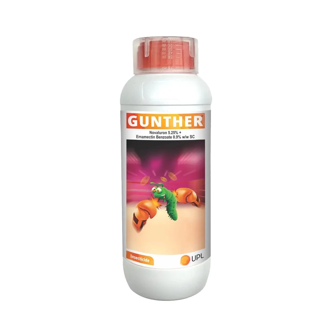 UPL Gunther Insecticide