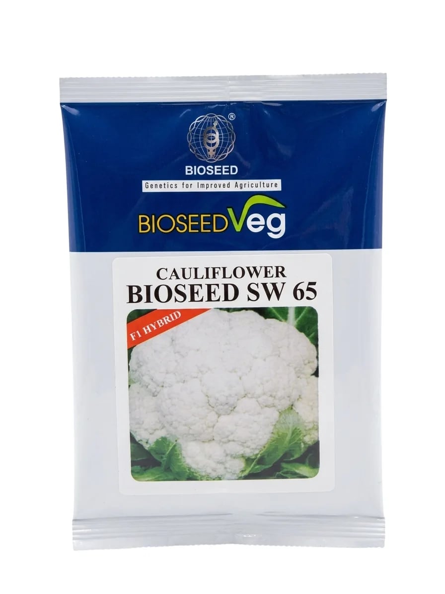 BIOSEED SW 65 Cauliflower F1 Hybrid Seeds for High Yield Quality Crop Cultivation
