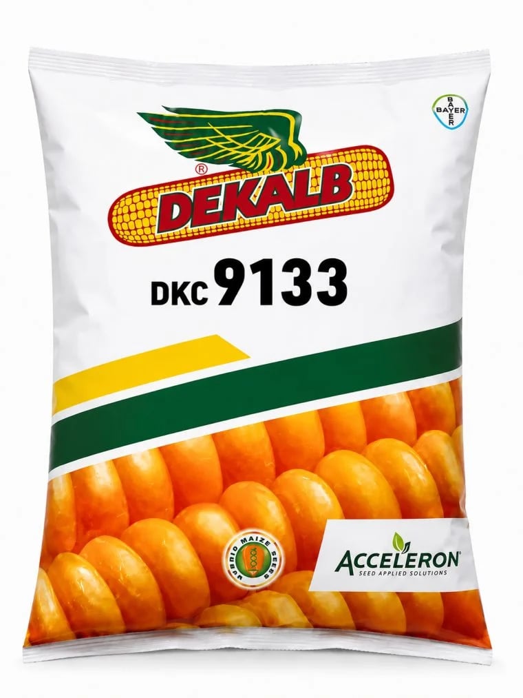 DEKALB DKC 9133 Hybrid Maize Seeds