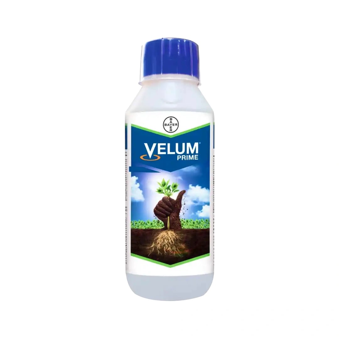 Bayer Velum Prime Nematicide (Fluopyram 34.48% SC) Effective Root Knot Nematode Control in Tomato & Cucumber
