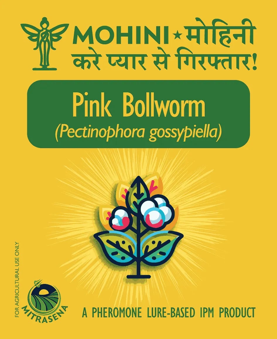 பயோவால் மோஹினி பிங்க் பால்வார்ம் பெக்டினோஃபோரா காசிபியெல்லா ஃபெரமோன் லூர் - பருத்தி பயிருக்கு