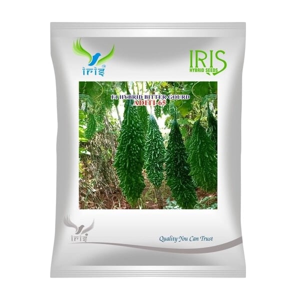 Iris Aditi-65 F1 Hybrid Bitter Gourd Seeds, High Yield, Vigorous Growth And Early Maturity