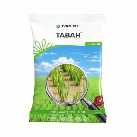Parijat Tabah Oxadiargyl 80% WP Selective Pre-Emergence Herbicide For Rice Crop