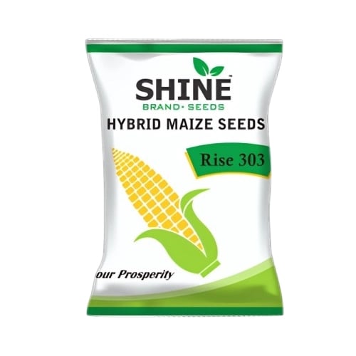 Maize Rise 303 Hybrid - Shine Brand Seeds, Makka Seed, Field Crops, Cereal Crop