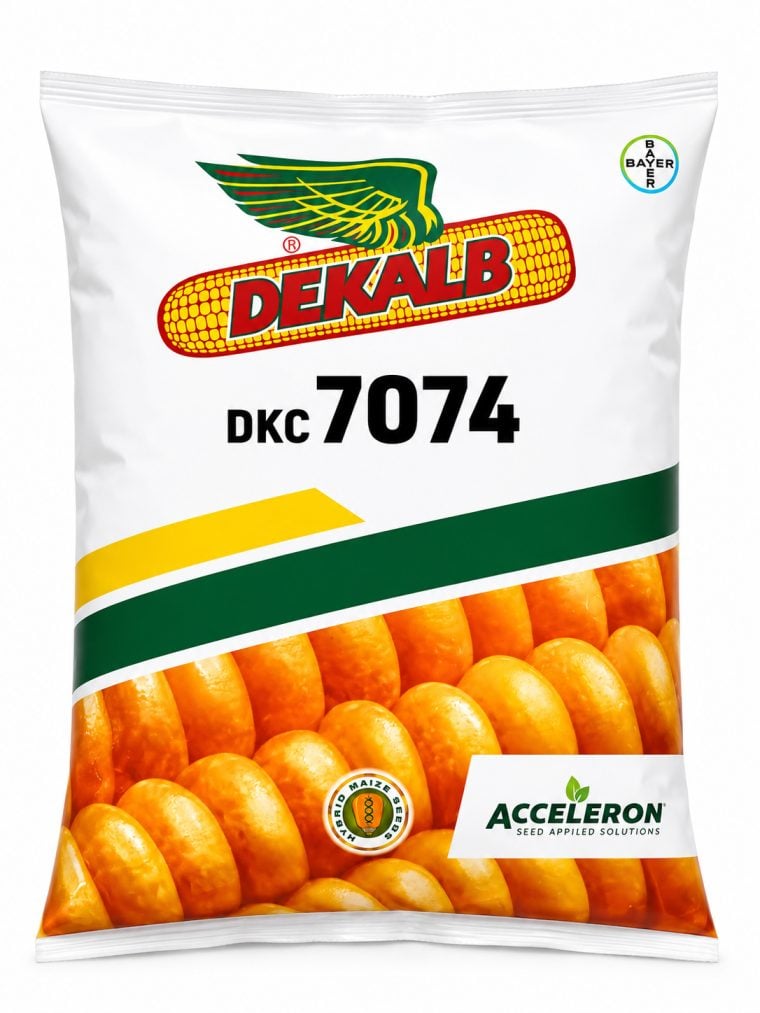 DEKALB DKC 7074 Hybrid Maize Seeds