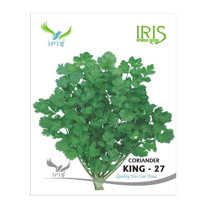 Iris King-27 Split OP Coriander Seeds, Imported, Tall Plants And High Yield, Mild Aroma