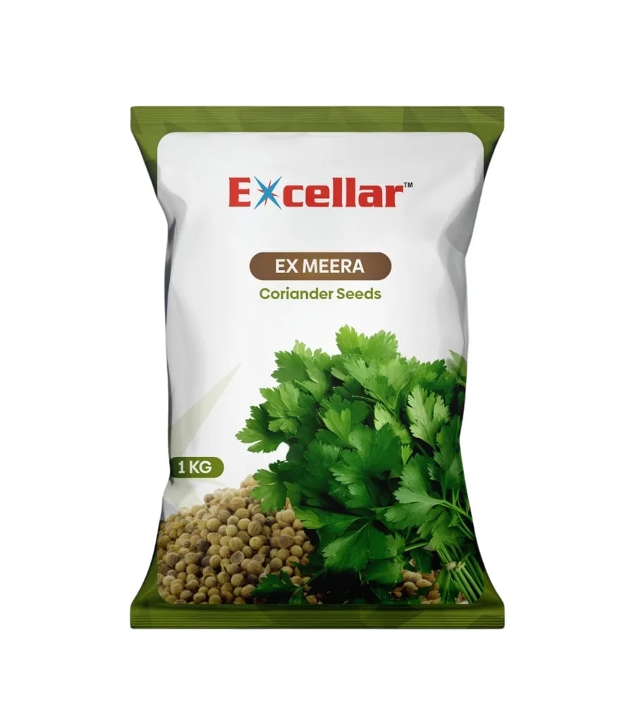 Excellar EX MEERA F1 Coriander Seeds, Ideal For Mild And Subtropical Climates, This Variety Has A Mild Aroma