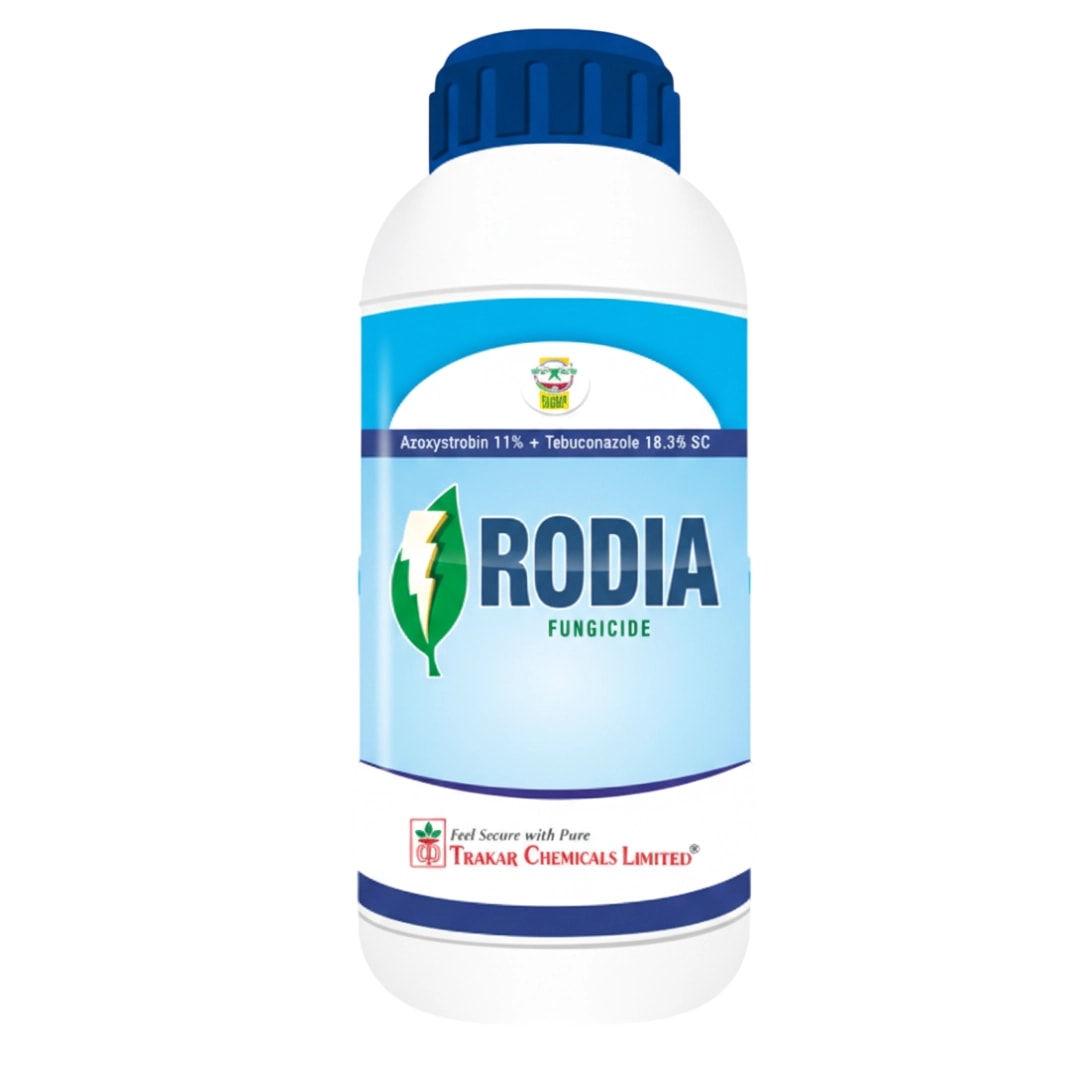 Thakar Rodia Azoxytrobin 11% + Tebuconazole 18.3% SC Fungicide, Improved Crop Quality And Uniform Growth In Crops