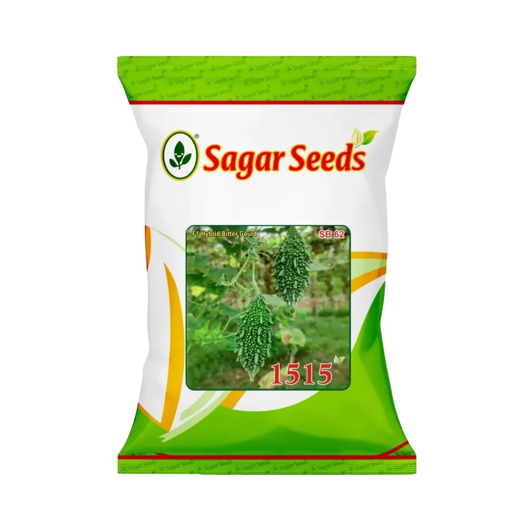Sagar 1515 Hybrid Bitter Gourd Seeds, Dark Green and Uniform Fruits, High Yield Variety Seeds
