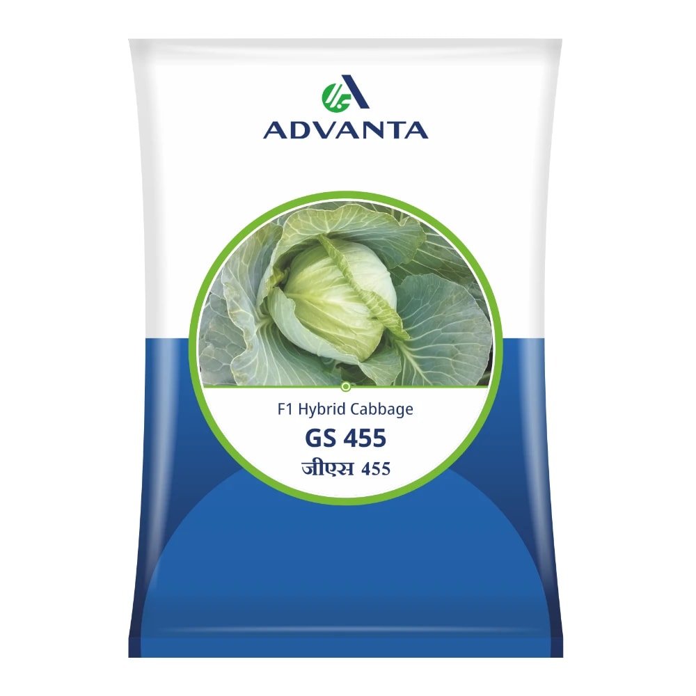 Advanta GS 455 F1 Hybrid Cabbage Seeds, Round Head, Black Rot Tolerance And High Yield