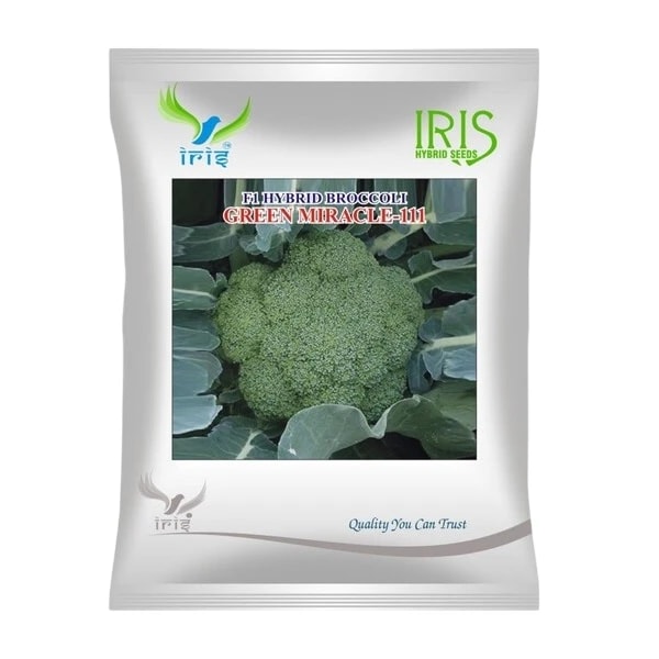Iris Green Miracle-111 F1 Hybrid Broccoli Seeds, High Yield, Bluish Green Beads And Disease Tolerant