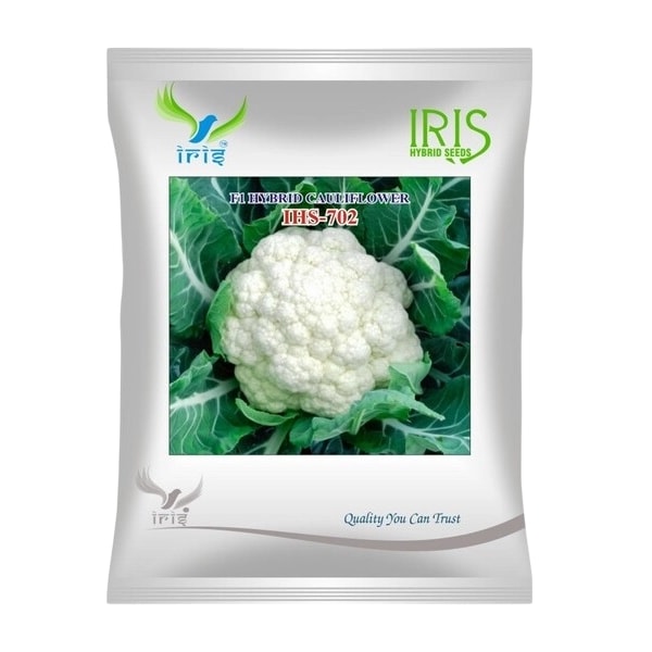 Iris IHS-702 F1 Hybrid Cauliflower Seeds, High Yield, Disease Tolerant And Self Curving Variety