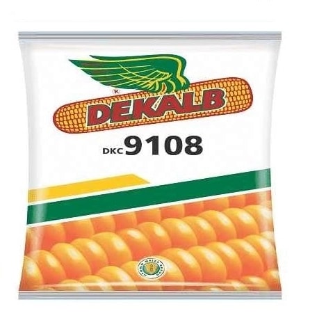 Bayer Dekalb Corn DKC 9108 Seed, High Yielding Spring Hybrid, Corn Seeds   