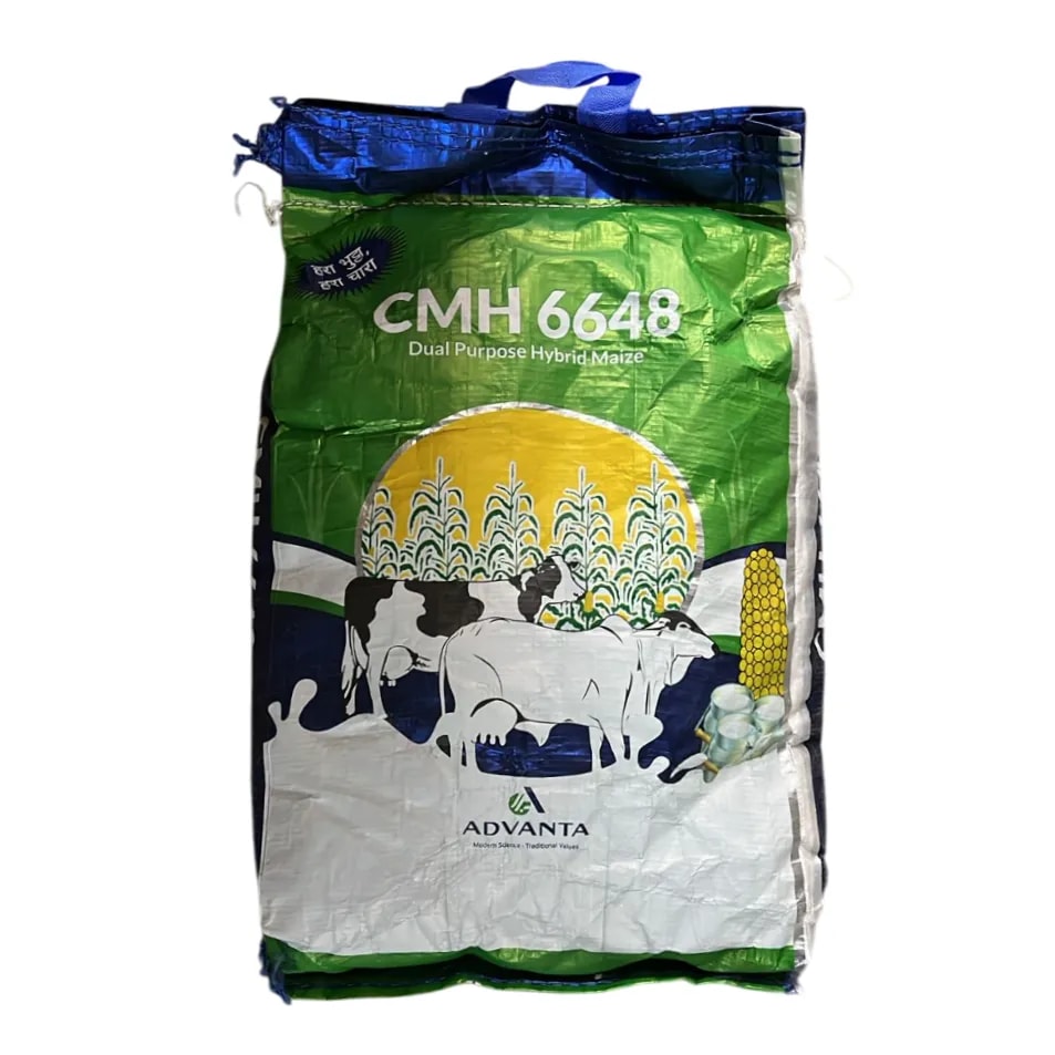 Advanta CMH 6648 Hybrid Maize Seeds, Dual Purpose, Green Corn And Fodder Use