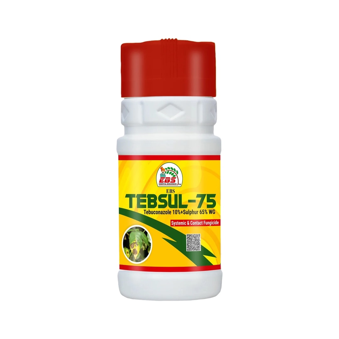 EBS Tebsul-75 Fungicide