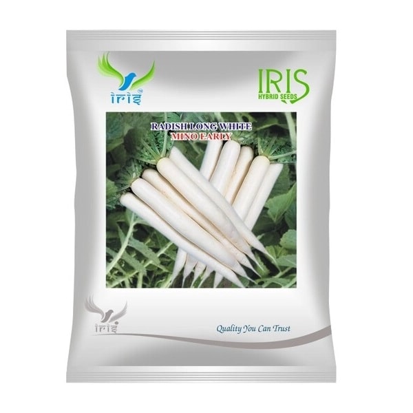 Iris Mino Early Imported OP Long White Radish Seeds, Smooth White Roots, Long Field Holding