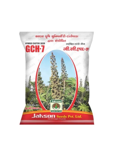 Jakson GCH-7 Hybrid Castor Seeds