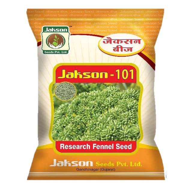Jakson 101 Research Fennel Seeds, Early Maturing And High Yield Variety, Ideal For Rabi Season Season