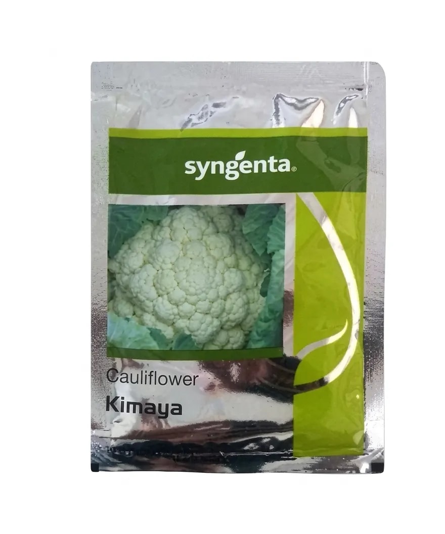 सिनजेंटा किमाया फूलगोभी हाइब्रिड बीज