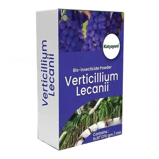 Katyayani Verticillium Lecani Powder Bio Insecticide, For Natural Pest Control and Sustainable Crop Protection