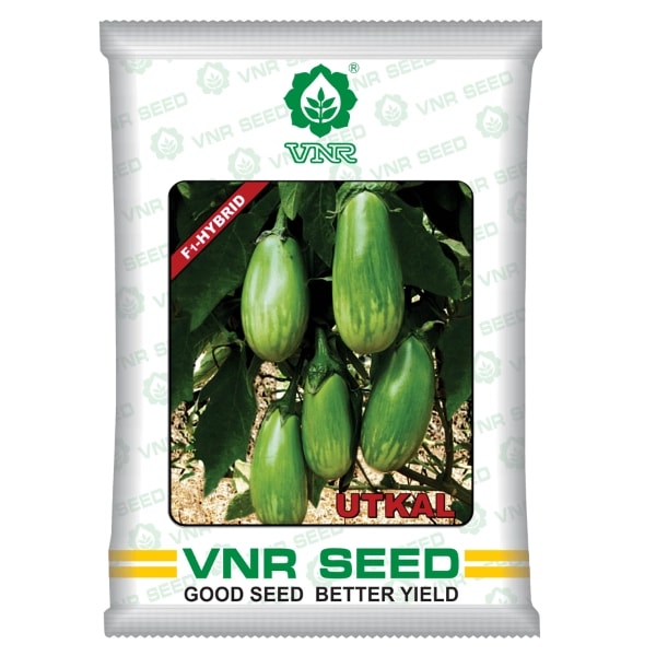 VNR Utkal Brinjal Seeds - (Baingan Seeds) Best Quality and Germination