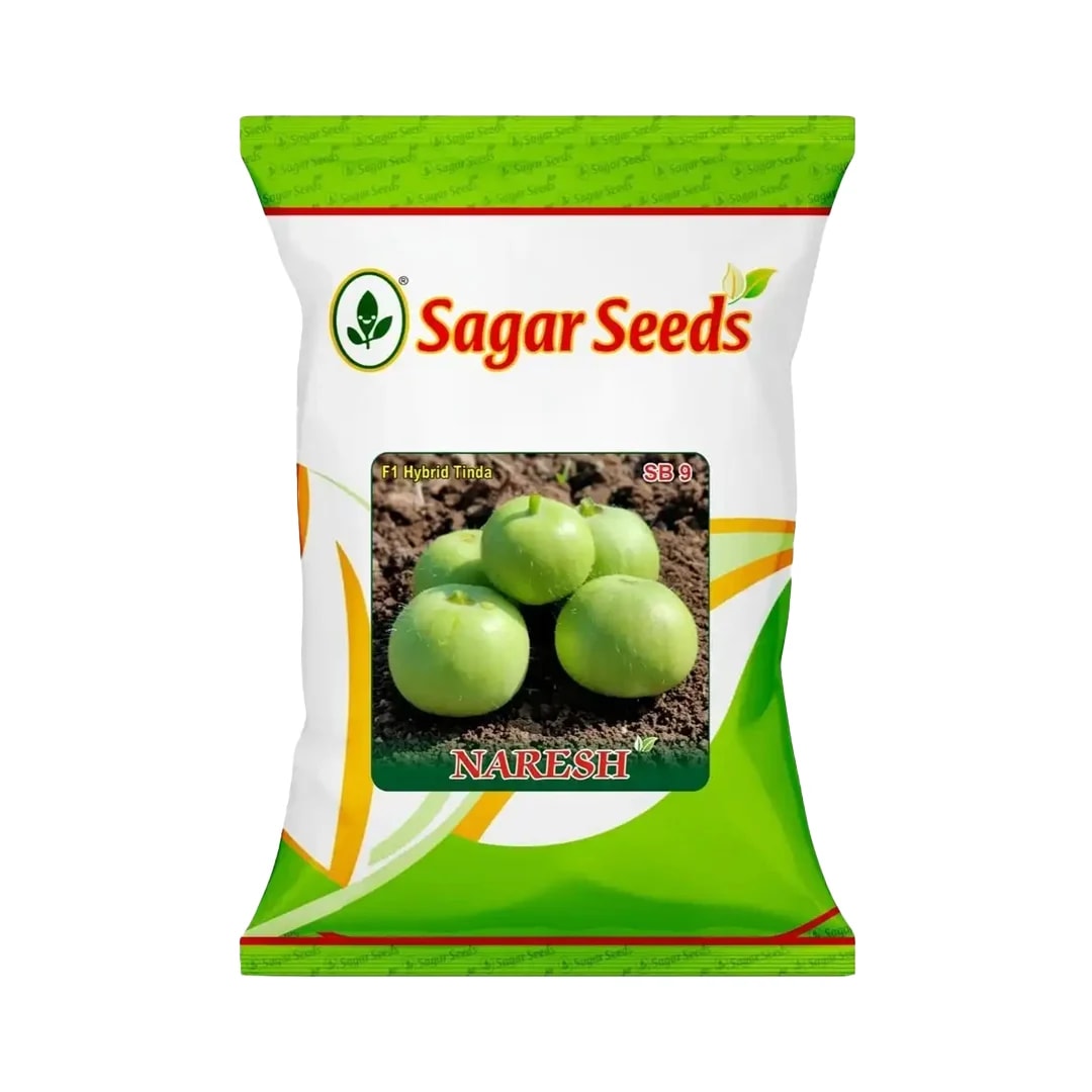 Sagar Naresh F1 Hybrid Tinda Seeds, High Yield, Early Maturity, Light Green Hairy Fruits