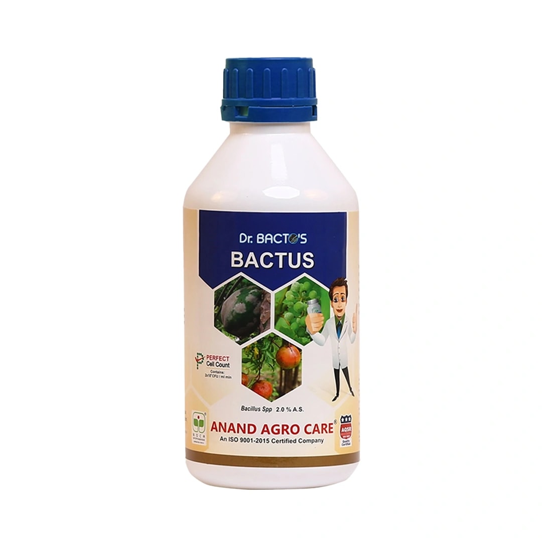 Dr. Bacto\'s Bactus (Bacillus subtilis) Control Anti Bacterial Diseases, It is An Eco-Friendly Biological Fungicide Based on Bacillus Subtilis