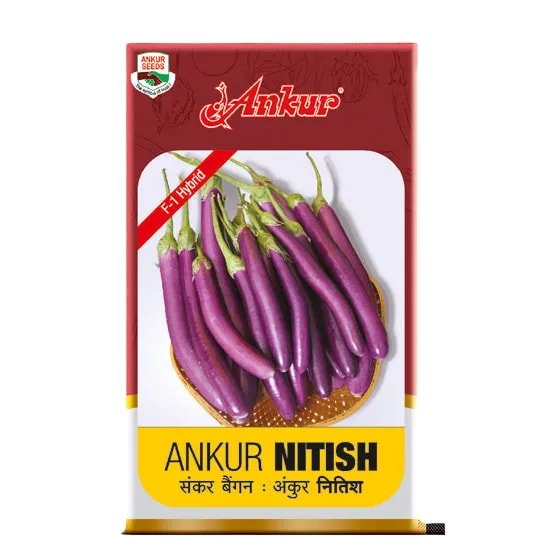 Ankur Nitish Brinjal (Baingan) Seeds