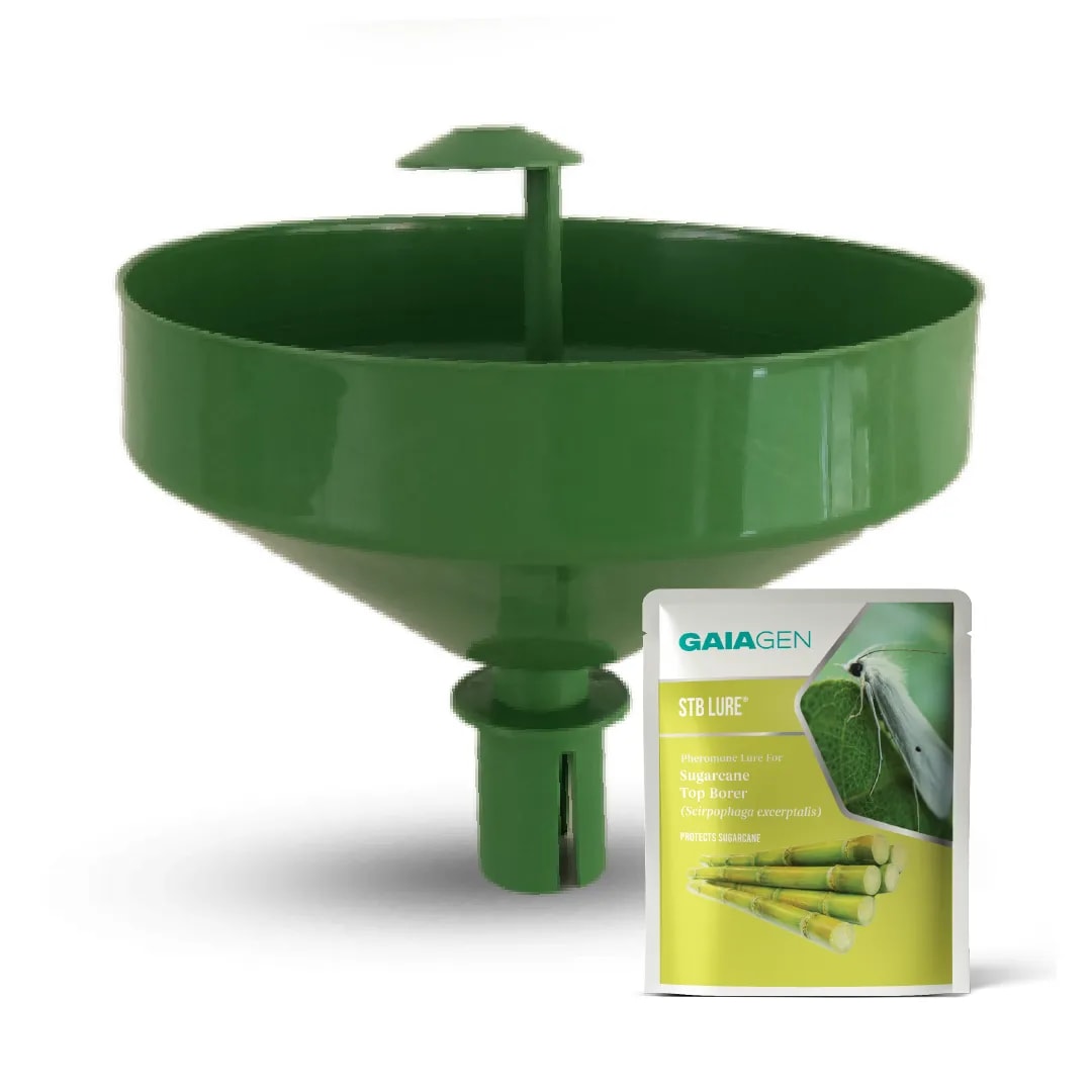 GAIAGEN Pheromone Water Trap and Lure For Sugarcane Top Borer (Scirpophaga excerptalis) And Insect Water Trap Combo Pack