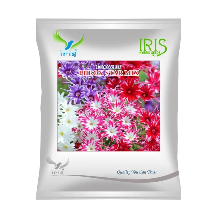 Iris Phlox Star Mix Flower Seeds, Imported, Bushy Plant And Mixed Colors Flower