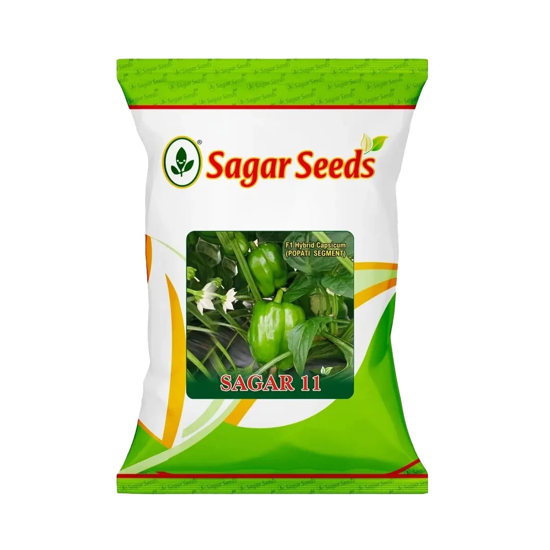 Sagar 11 F1 Hybrid Capsicum Seeds, Popati Segment, High Yield, For Kharif and Summer