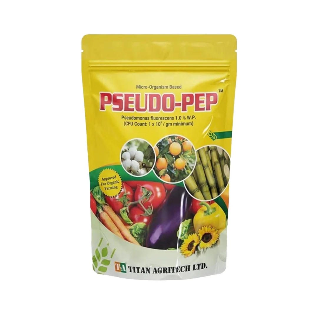 टाइटन एग्रीटेक स्यूडो पेप स्यूडोमोनास फ्लोरोसेंस (पाउडर), पौधों और कृषि के लिए सूक्ष्मजीव, बाहरी पौधों के लिए कवकनाशी