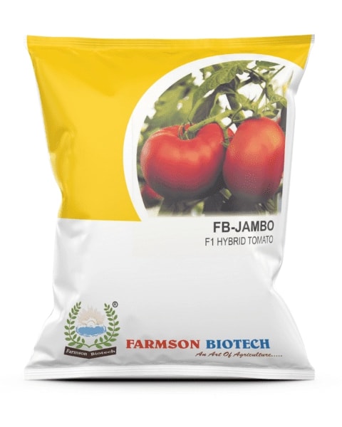 Farmson FB Jambo F1 Hybrid Tomato Seeds, Uniform Flat Round Deep Red Fruits for High Yield